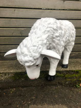 122020 Schaf Figur frisst