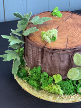Aufbaukurs Baumstammtorte