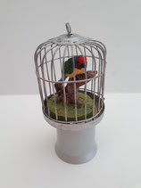 Large Parrot & Silver Bird Cage