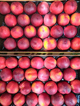 Nectarines