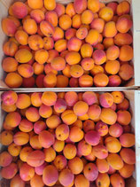 Abricots