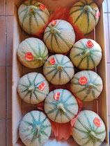 Melon