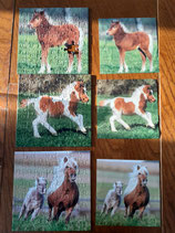 Puzzle mit Pony 3er Set