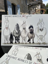 Plaque 50 nuances de gris