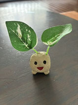 にこにこ葉っぱ
