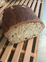 Le Petit épeautre 500gr BIO