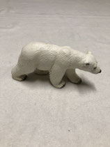 eisbär