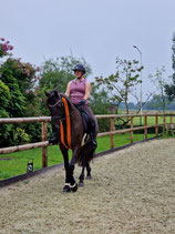 Functional Equine Taping