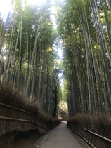 2024年9月23日 嵯峨嵐山コース【関西5days】