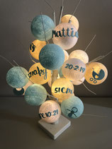 Funny Alberello "Baby Boy"