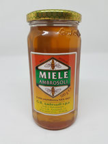 MIELE AMBROSOLI G.500