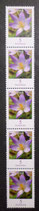 Bund 2480  5 ct  Krokus  **