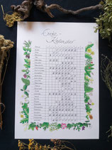 Kräuter-Ernte-Kalender