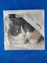 Servietten Katze in Zeitung