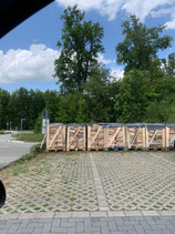 Buchenholz (33 cm) Kaminholz, EG