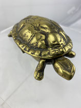 Dose Deckeldose Schildkröte Messing. Art.-Nr. 5111