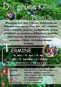 Kräuterwanderung, Oberösterreich, Bezirk Ried im Innkreis
