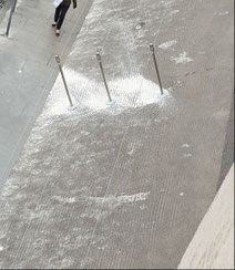 fil tendu anti pigeon