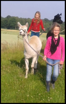 Das macht Spaß: Kindergeburtstage mit Lamas und Alpakas und natürlich mit euren Freunden - etwas ganz Besonderes!!