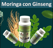 Moringa + Ginseng. Memoria/Estudiantes/Energia