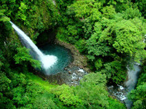Combo Canopy and Rafting