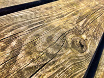 HOLZ IM GARTEN