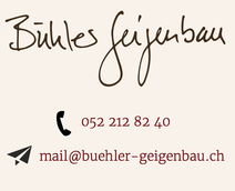 Geige, Geigenbau, Bühler Geigenbau, Winterthur, Musik, Konzert, Miete, Violine kaufen, Geigenkauf