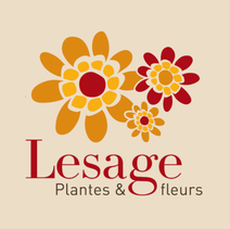 Fleurs Lesage | Bomal (Durbuy)