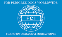 四国犬  Shikoku Ken, dutch shikoku breeder