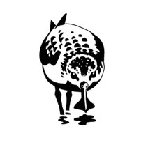 Spoon-billed Sandpiper Task Force