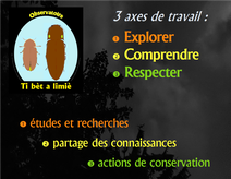 présentation de l'observatoire