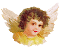 守護天使からのメッセージをお伝えします。天使の無条件の愛で癒しをもたらします。