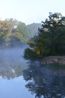 A Central Texas ranch lake - a place I've fished and painted