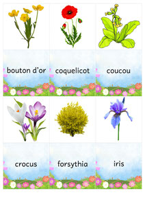 Jeu de mémory des fleurs du printemps