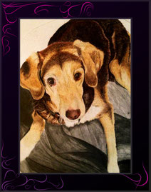 Euren treuen Gefährten als Farbzeichnung von Künstlerin anfertigen lassen. Besonders die Hundeportraits sind sehr beliebt, dich gefolgt von den Katzenliebhabern :-)