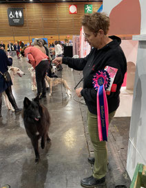 Exposition Paris Dog Show  Meilleur jeune Groenendael à 9 mois  2éme excellente pour sa première sortie en classe jeune