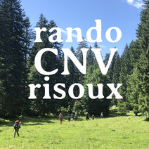 trek cnv dans les forêts du jura suisse - trekking et communication nonviolente