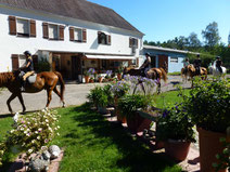 11 horse riding stables in and by Berlin