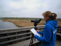 Monitoring am Federsee