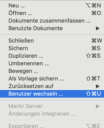 Benutzer wechseln in Merlin Project