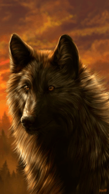 Eurasischer Wolf