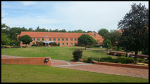 Präsenz-Seminar (Lüchow)