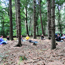 Waldbaden