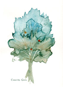 Kirsche, Lebensbaum, Baum des Lebens, keltischer Jahreskreis, Baumkreis, keltischer Baumkreis