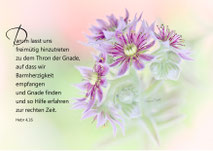 Christliche Karten, High Key, Hauswurz