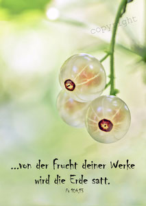 weisse Johannisbeeren, Frucht, Christliche Kunstkarten