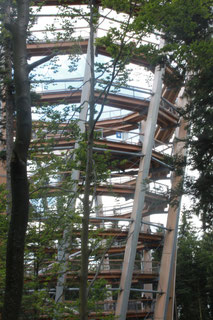Turm des Baumwipfel-Pfades