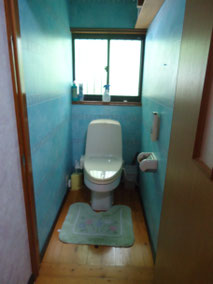 改修前(これと同じ洋式トイレが隣にもあった)