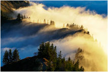 Galeriebild Landschaft u. Natur