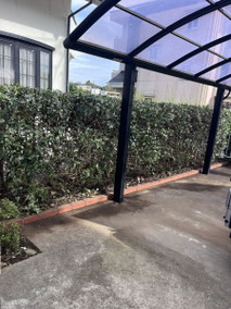 横浜市青葉区で剪定する植木屋「纏造園」